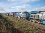 RUMO 9895